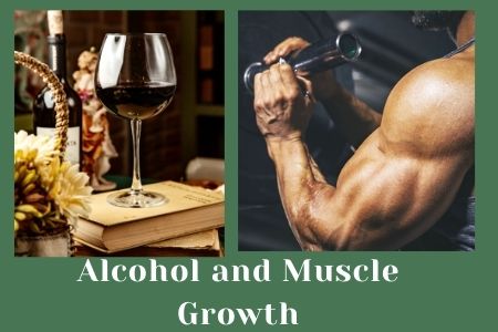 Alcohol and Muscle Growth