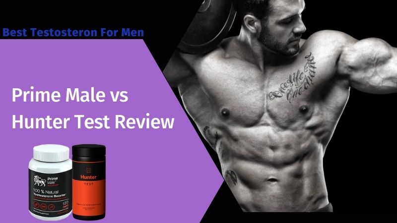 Testosterone Booster For Muscle Gain Hunter Test Vs Prime Male Aavante Blogs
