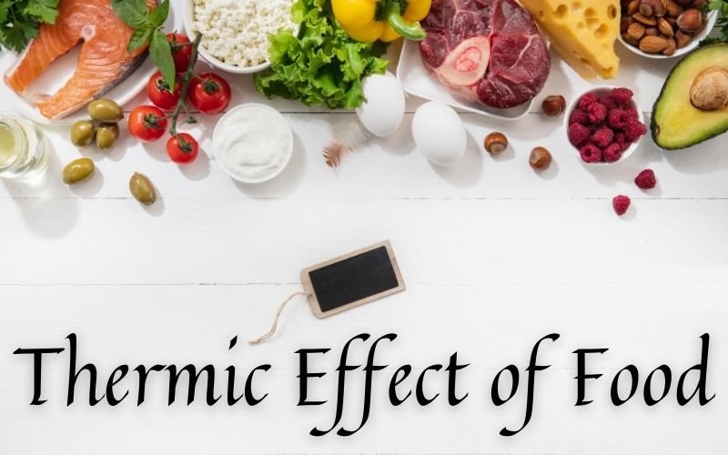What is the thermic effect of food