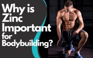 Why Zinc is Important for Bodybuilding? Zinc and Lean Muscle