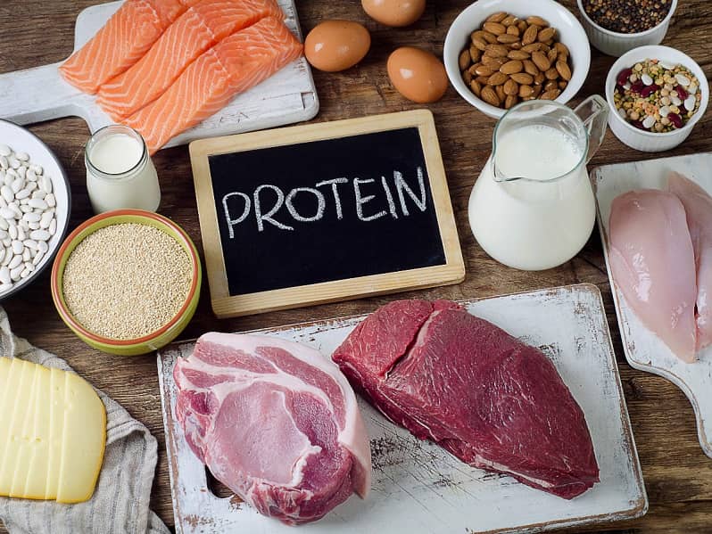 protein per day for bodybuilding and weight loss