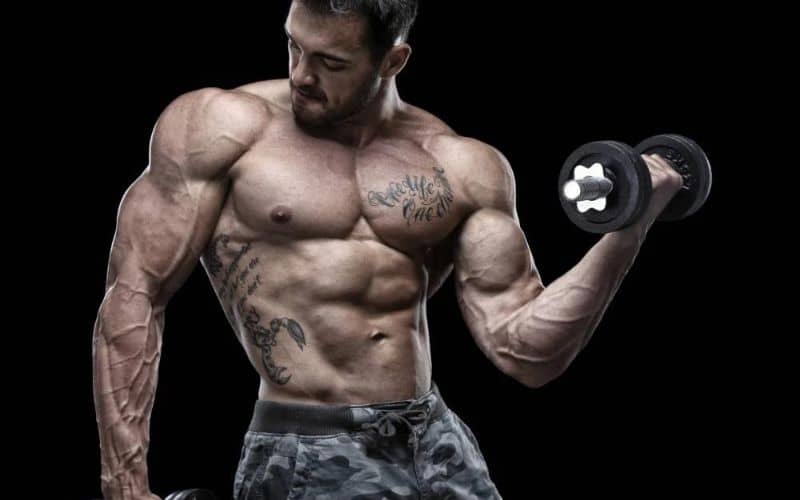 Legal Steroids for Muscle Building