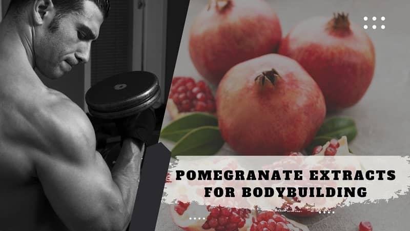 pomegranate extract for muscle building