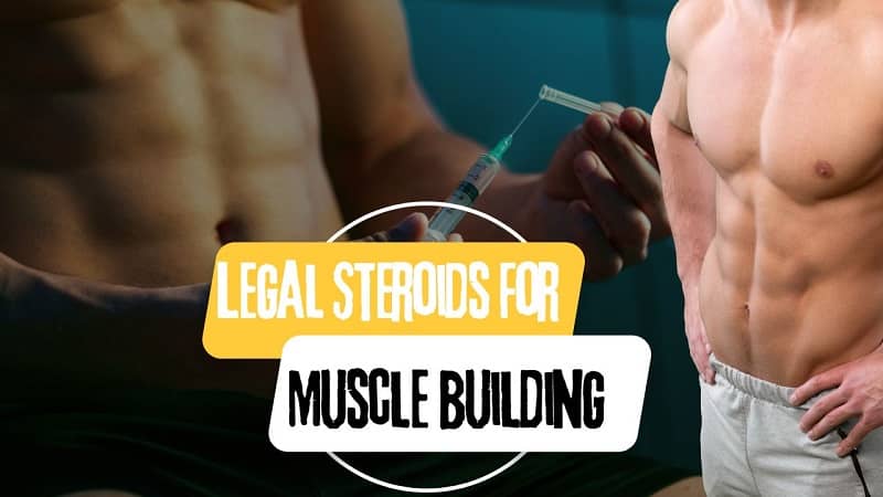 How Can You Effectively Build Muscles With Legal Steroids 4757