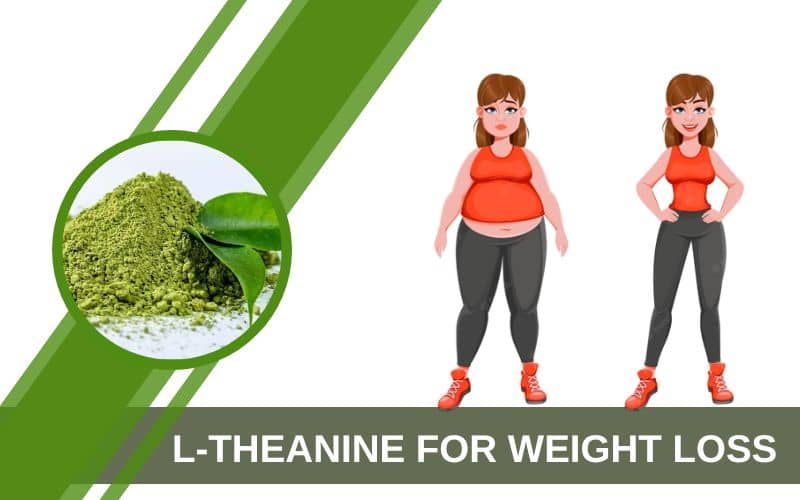 benefits-of-l-theanine-for-weight-loss-fat-burner-ingredient