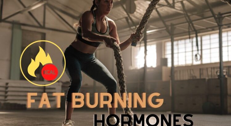 Fat Burning Hormones