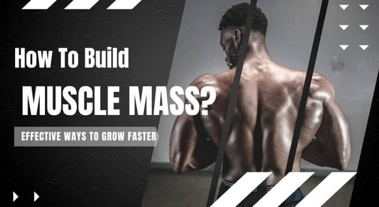 Ways to Build Muscle for Men Over 40