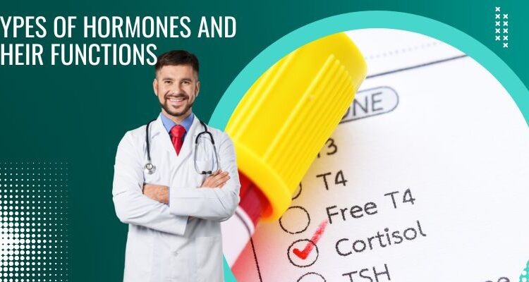 Types of Hormones and Their Functions