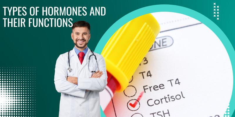 types-of-hormones-and-their-functions-detailed-guide