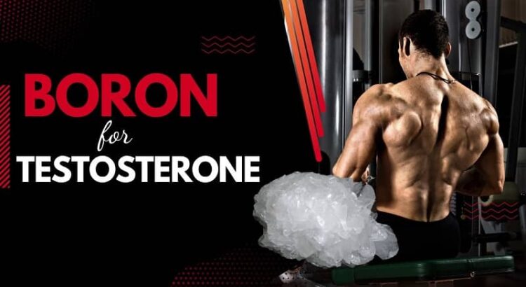 boron for testosterone