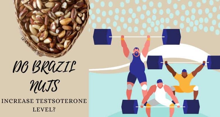 Do Brazil Nuts Increase Testosterone