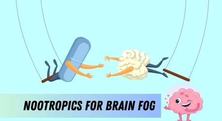 Nootropics for brain fog