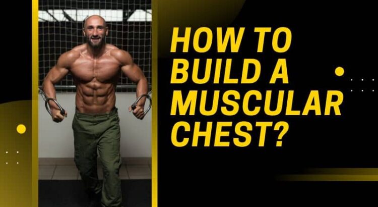 How To Build A Muscular Chest
