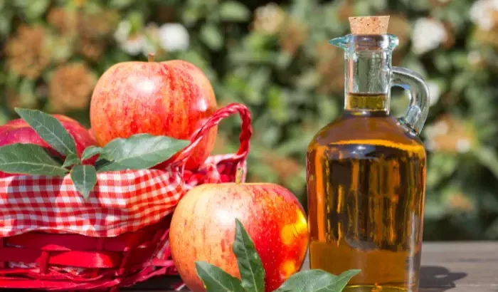 Apple Cider Vinegar to Lose Weight