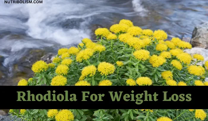 Rhodiola-For-Weight-Loss