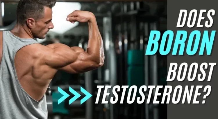 does boron boost testosterone levels