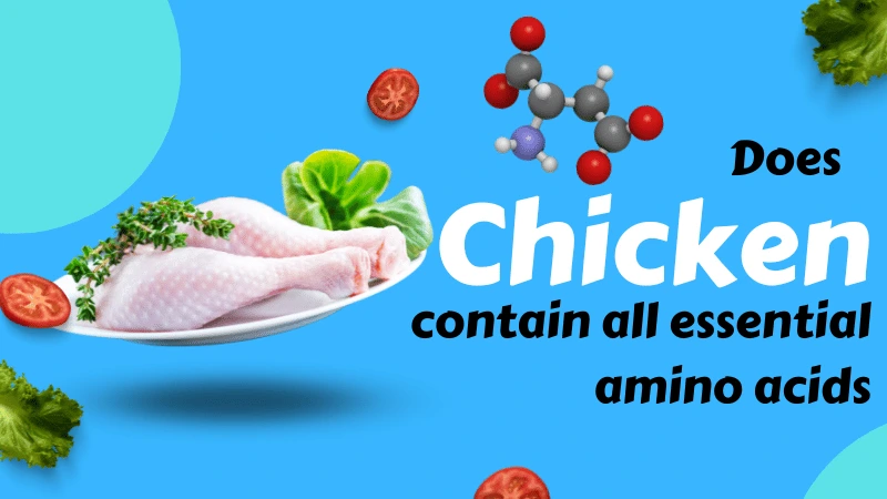 9 Essential Amino Acids in Chicken - Benefits of Eating