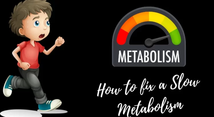 How to fix a Slow Metabolism