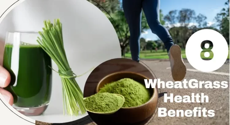 Benefits of Wheatgrass