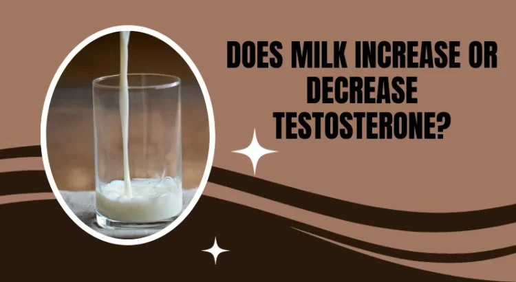 Does milk increase or decrease testosterone