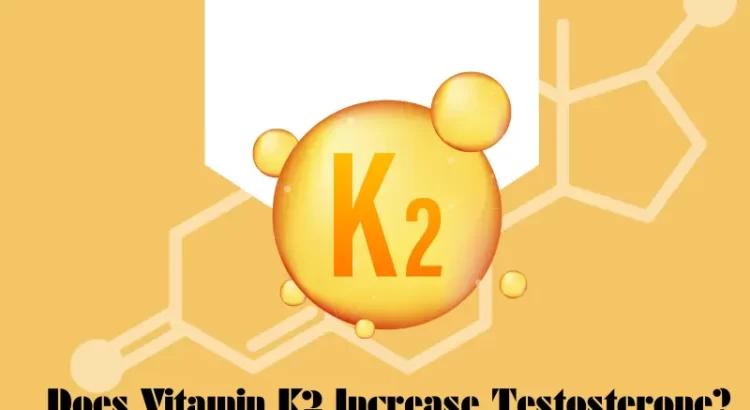 Vitamin K2 and Testosterone