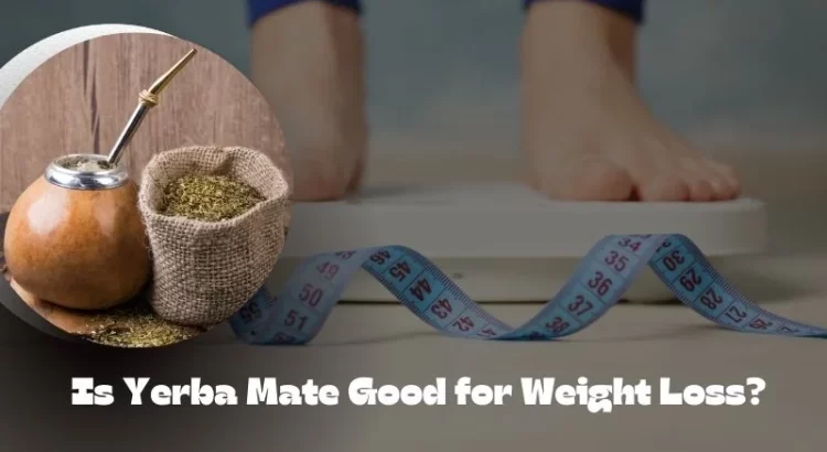 Yerba Mate for weight loss