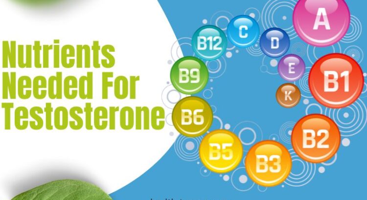 what nutrients are needed for testosterone