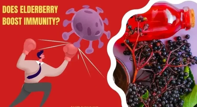 does elderberry boost immunity