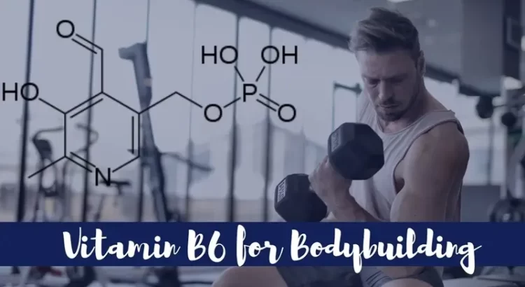 Vitamin B6 for bodybuilding